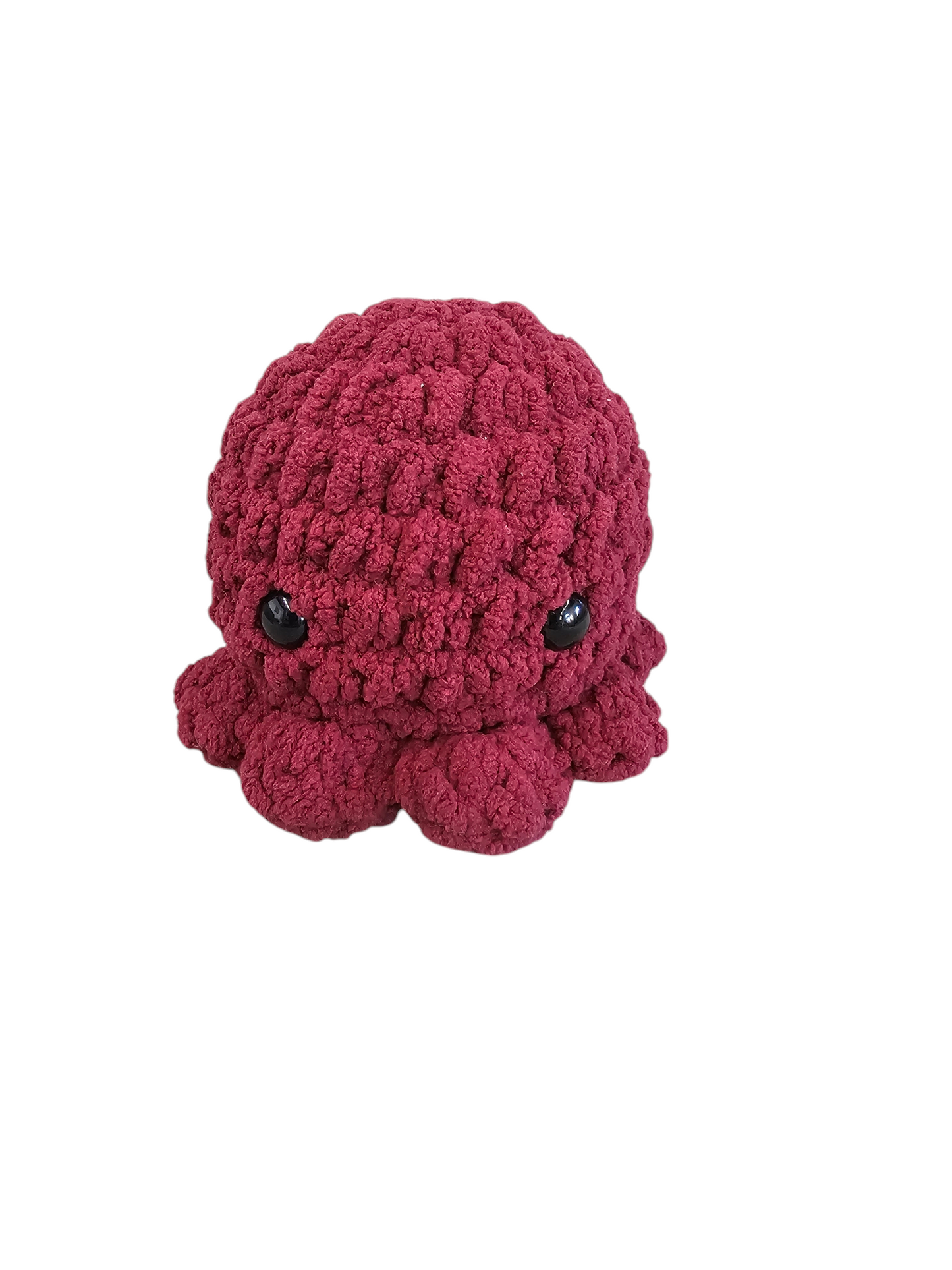 Small Crocheted Octopus Plushie