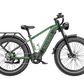 Brawn Heybike Electric Bike