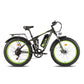 VIPER Senada Softail Electric Mountain Bike | 1000W