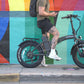Jack MAUI Electric Folding Bike
