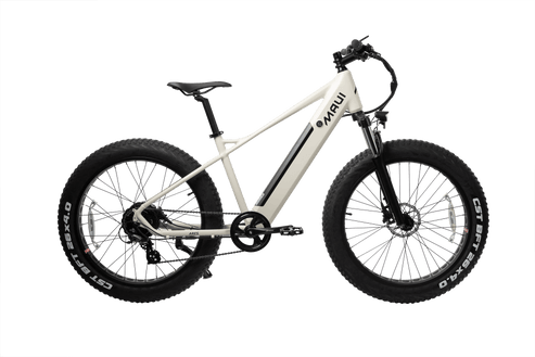 Ares MAUI Electric Fat-Tire E-Bike