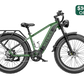 Brawn Heybike Electric Bike