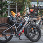 HERALD Senada Step Thru Electric Bike | 1000W