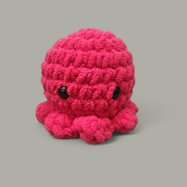 Small Crocheted Octopus Plushie