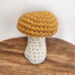 Mushroom Crocheted Plushie