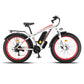 ARCHON Senada Electric Bike All Terrain Fat Tire EBike | 1000W