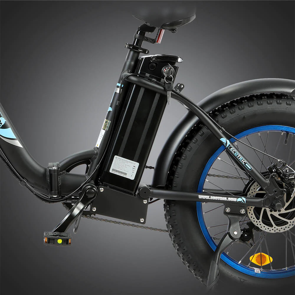 Dolphin UL Certified-Ecotric 20inch black Portable and folding fat electric bike