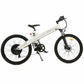 Ecotric Seagull Electric Mountain Bicycle