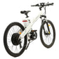 Ecotric Seagull Electric Mountain Bicycle