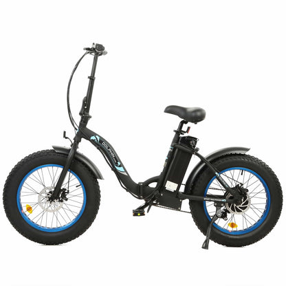 Dolphin UL Certified-Ecotric 20inch black Portable and folding fat electric bike