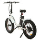 Dolphin UL Certified-Ecotric 20inch black Portable and folding fat electric bike