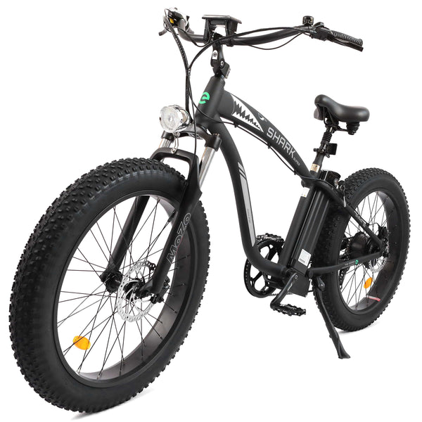 UL Certified-Ecotric Hammer Electric Fat Tire Beach Snow Bike
ECOTRIC