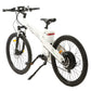 Ecotric Seagull Electric Mountain Bicycle