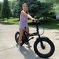 Ecotric 48V 13ah Cheetah portable and folding fat electric bike with LCD display