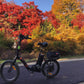 UL Certified-Ecotric Starfish 20inch portable and folding electric bike